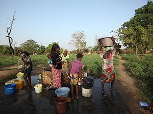 green-gambia-2