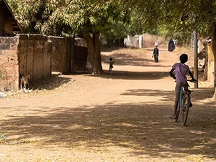 green-gambia-3